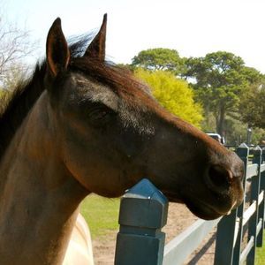 Meet your Posher, Whitney